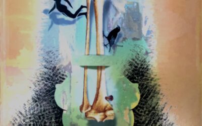 A Layered Exploration of an Evocative Sibling Relationship— A Review of Akkaalin Elumbugal