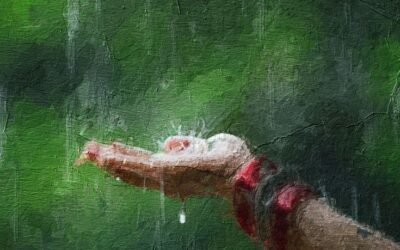 Love in the Time of Typhoid or the Sprite that Loved the Fisherman — K. Rekha