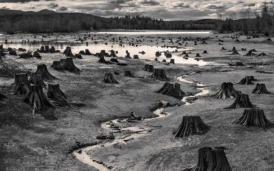 Urban Sprawl — Majeed Amjad