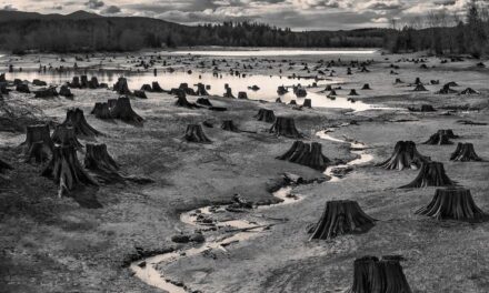Urban Sprawl — Majeed Amjad