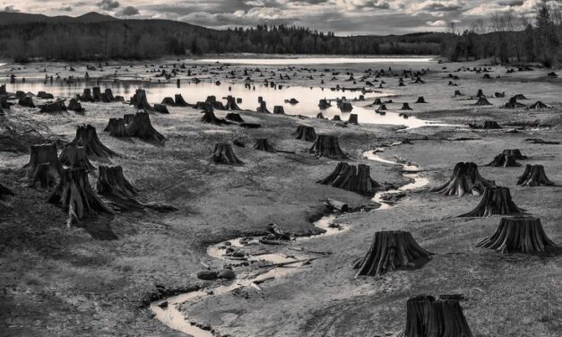 Urban Sprawl — Majeed Amjad