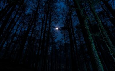 Poems — Paresh Narendra Kamat