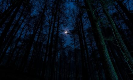 Poems — Paresh Narendra Kamat