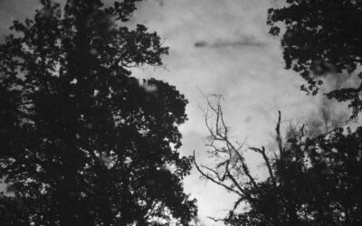 Two Poems by Hughes Labrusse